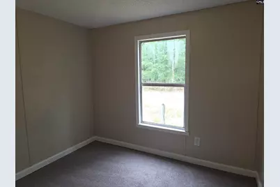 132 Elijah Lane, Pelion, SC 29123 - Photo 10
