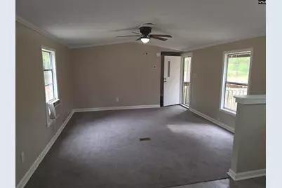 132 Elijah Lane, Pelion, SC 29123 - Photo 4