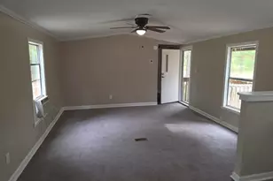 132 Elijah Ln, Pelion, SC 29123 - Photo 4