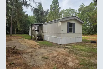 132 Elijah Lane, Pelion, SC 29123 - Photo 2