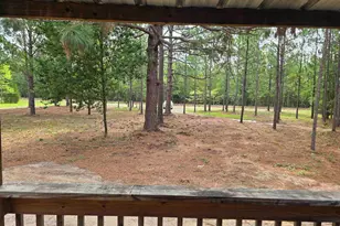 132 Elijah Ln, Pelion, SC 29123 - Photo 16