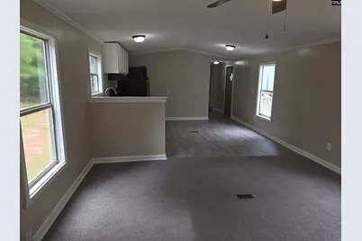 132 Elijah Lane, Pelion, SC 29123 - Photo 6