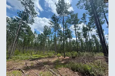 Beaver Creek Road #1, Swansea, SC 29160 - Photo 16