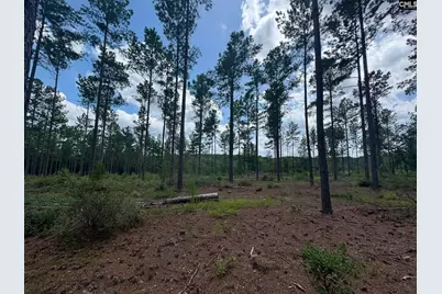 Beaver Creek Road #1, Swansea, SC 29160 - Photo 10