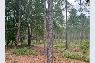 Beaver Creek Road #1, Swansea, SC 29160 - Photo 22