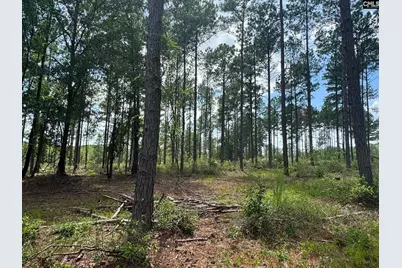 Beaver Creek Road #1, Swansea, SC 29160 - Photo 26