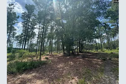 Beaver Creek Road #1, Swansea, SC 29160 - Photo 12