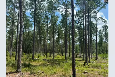 Beaver Creek Road #1, Swansea, SC 29160 - Photo 2