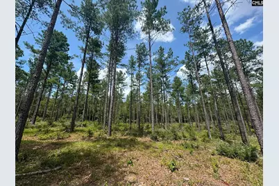 Beaver Creek Road #1, Swansea, SC 29160 - Photo 28