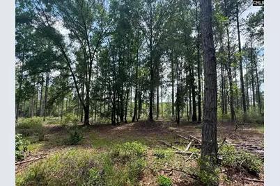 Beaver Creek Road #1, Swansea, SC 29160 - Photo 8