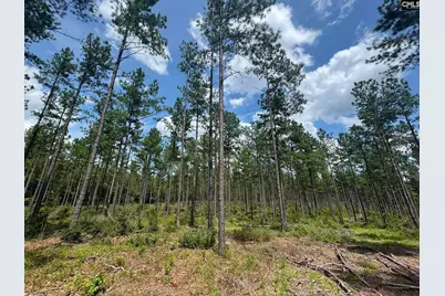 Beaver Creek Road #1, Swansea, SC 29160 - Photo 6