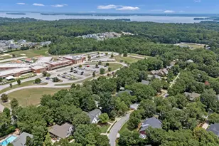 353 Vista Springs Cir, Lexington, SC 29072 - Photo 48