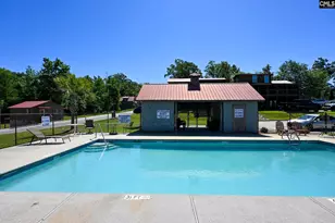217 Marina Cove Dr, Gilbert, SC 29054 - Photo 38