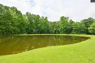 1941 Ray Price Rd, Leesville, SC 29070 - Photo 36
