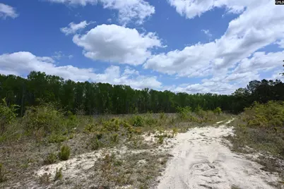 0 Platt Springs Road, West Columbia, SC 29169 - Photo 10