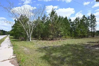 0 Platt Springs Road, West Columbia, SC 29169 - Photo 14