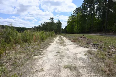 0 Platt Springs Road, West Columbia, SC 29169 - Photo 4