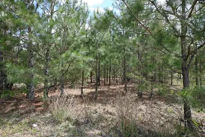 0 Platt Springs Road, West Columbia, SC 29169 - Photo 20