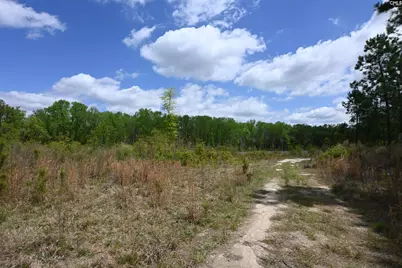 0 Platt Springs Road, West Columbia, SC 29169 - Photo 8