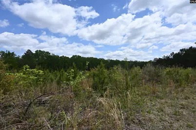 0 Platt Springs Road, West Columbia, SC 29169 - Photo 1
