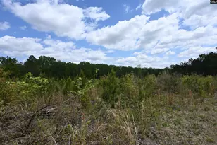 0 Platt Springs Rd, West Columbia, SC 29169 - Photo 1
