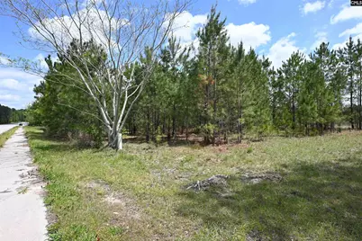 0 Platt Springs Road, West Columbia, SC 29169 - Photo 16