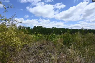 0 Platt Springs Road, West Columbia, SC 29169 - Photo 2
