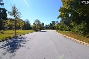 15 Blythe View Ct 9, Blythewood, SC 29016 - Photo 2