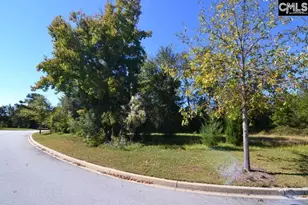 15 Blythe View Ct 9, Blythewood, SC 29016 - Photo 4