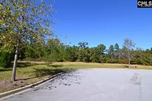 15 Blythe View Ct 9, Blythewood, SC 29016 - Photo 6