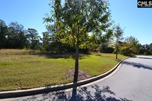 10 Blythe View Ct 13, Blythewood, SC 29016 - Photo 4