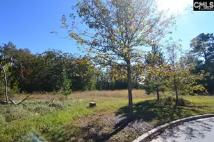 6 Blythe View Ct 14, Blythewood, SC 29016 - Photo 2