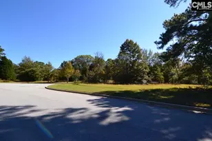 6 Blythe View Ct 14, Blythewood, SC 29016 - Photo 20