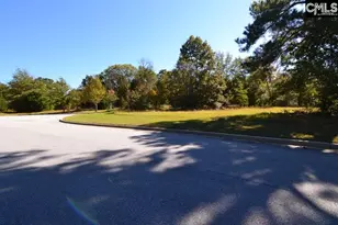 6 Blythe View Ct 14, Blythewood, SC 29016 - Photo 18