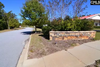 6 Blythe View Court 14 #14, Blythewood, SC 29016 - Photo 24