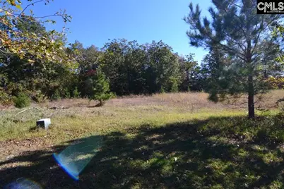 6 Blythe View Court 14 #14, Blythewood, SC 29016 - Photo 6
