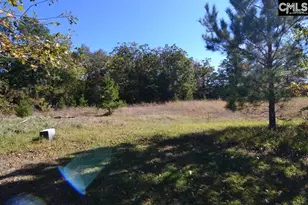 6 Blythe View Ct 14, Blythewood, SC 29016 - Photo 6