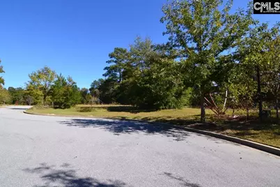 2 Blythe View Court 15 #15, Blythewood, SC 29016 - Photo 10