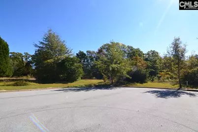 2 Blythe View Court 15 #15, Blythewood, SC 29016 - Photo 8