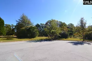 2 Blythe View Ct 15, Blythewood, SC 29016 - Photo 8