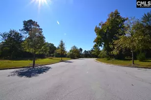 2 Blythe View Ct 15, Blythewood, SC 29016 - Photo 2