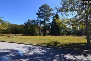 2 Blythe View Ct 15, Blythewood, SC 29016 - Photo 6