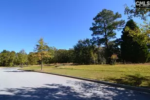 2 Blythe View Ct 15, Blythewood, SC 29016 - Photo 4