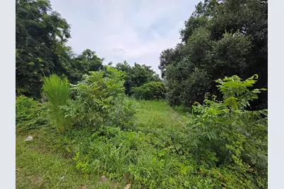 0 Hillsboro Road, Orangeburg, SC 29115 - Photo 1