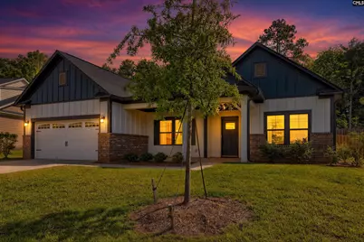 256 Murray Falls Lane, Chapin, SC 29036 - Photo 4