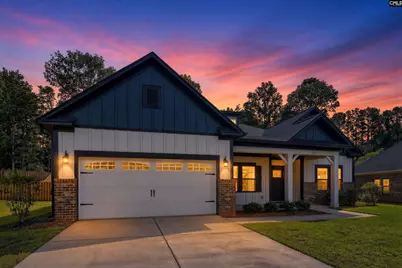 256 Murray Falls Lane, Chapin, SC 29036 - Photo 6