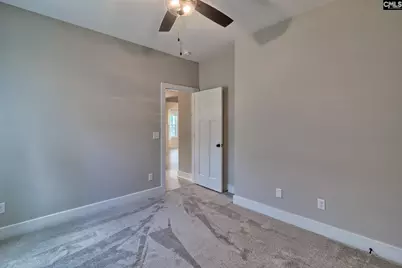 256 Murray Falls Lane, Chapin, SC 29036 - Photo 50