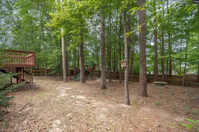 205 Winterberry Loop, Lexington, SC 29072 - Photo 48