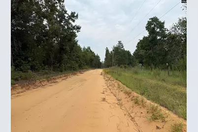 000 C0Llum Pond Road, Wagener, SC 29164 - Photo 2
