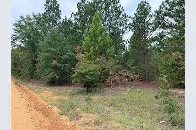 000 C0Llum Pond Road, Wagener, SC 29164 - Photo 4